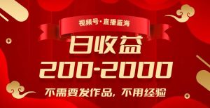 视频号直播蓝海，不需要发作品，不用经验，日入200-2000+【揭秘】-风淘社