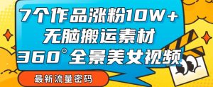 7个作品涨粉10W+，无脑搬运素材，全景美女视频爆款玩法分享【揭秘】-风淘社