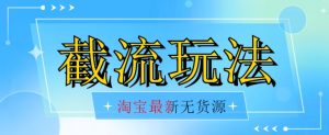 首发价值2980最新淘宝无货源不开车自然流超低成本截流玩法日入300+【揭秘】-风淘社