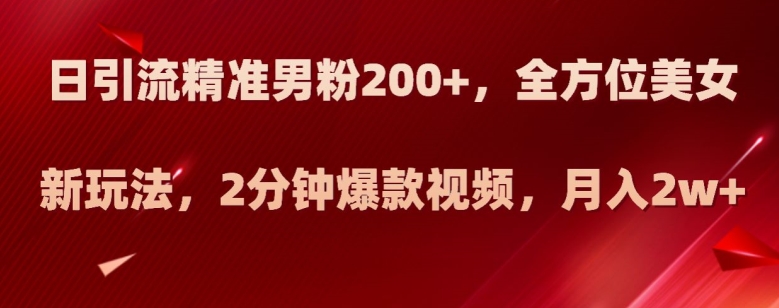 日引流精准男粉200+,全方位美女新玩法,2分钟爆款视频,月入2w+【揭秘】-风淘社