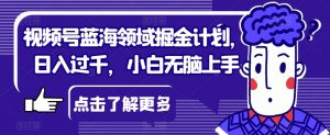 视频号蓝海领域掘金计划，日入过千，小白无脑上手【揭秘】-风淘社
