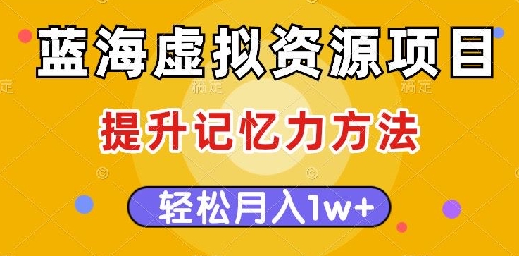 蓝海虚拟资源项目,提升记忆力方法,多种变现方式,轻松月入1w+【揭秘】-风淘社