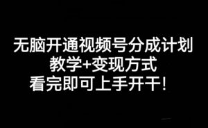 无脑开通视频号分成计划，教学+变现方式，看完即可上手开干!-风淘社