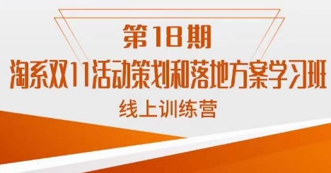 南掌柜·淘系双11活动策划和落地方案线上课18期-风淘社