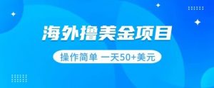 撸美金项目无门槛操作简单小白一天50+美刀-风淘社