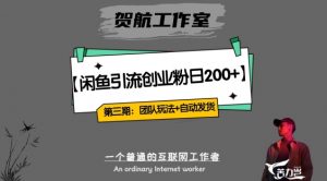第三期:暴力引流,无脑搬运,闲鱼创业粉引流一天200+,更新全自动发货的团队闭环模式【揭秘】-风淘社