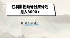 外面收费1980的红利期视频号分成计划2.0版本教学【揭秘】-风淘社