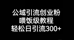 公域引流创业粉，喂饭级教程，轻松日引流300+【揭秘】-风淘社