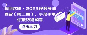 狼团联盟·2023视频号训练营(第三期),手把手带你玩转视频号-风淘社