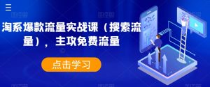 淘系爆款流量实战课(搜索流量),主攻免费流量-风淘社