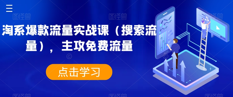 淘系爆款流量实战课(搜索流量),主攻免费流量-风淘社