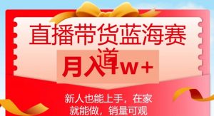 直播带货蓝海赛道,新人也能上手,在家就能做,销量可观,月入1w【揭秘】-风淘社