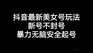 抖音最新美女号玩法，新号不封号，暴力无脑安全起号【揭秘】-风淘社