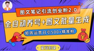 爱豆新媒:全自动养号+图文批量生成,日引500+创业粉(抖音小红书图文笔记2.0)-风淘社