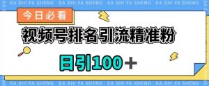 视频号引流精准粉，日引100+，流量爆炸【揭秘】-风淘社
