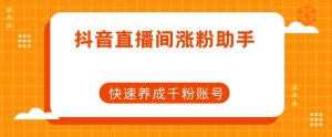 抖音直播间涨粉助手，快速养成千粉账号-风淘社
