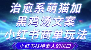 治愈系萌猫加+黑鸡汤文案,小红书商单玩法,3~10天涨到1000粉,一单200左右-风淘社