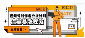 一条视频收益3000+，一条作品涨粉2000+，视频号流量爆炸·的秘籍-风淘社