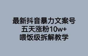 最新抖音暴力文案号，五天涨粉10w+，喂饭级拆解教学-风淘社