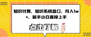 知识付费,知识系统盘口,月入1w+,新手小白直接上手-风淘社