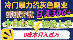 冷门暴利的副业项目，聊聊天就能日入300+，0成本月入过万【揭秘】-风淘社
