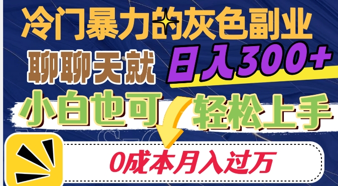 冷门暴利的副业项目，聊聊天就能日入300+，0成本月入过万【揭秘】-风淘社