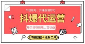 2023抖爆代运营,单号日躺赚300,简单易操作做无上限【揭秘】-风淘社