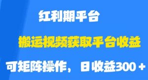搬运视频获取平台收益，平台红利期，附保姆级教程【揭秘】-风淘社