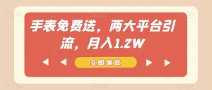 手表免费送，两大平台引流，月入1.2W【揭秘】-风淘社