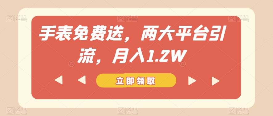 手表免费送,两大平台引流,月入1.2W【揭秘】-风淘社