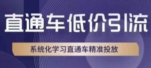 直通车低价引流课,系统化学习直通车精准投放-风淘社