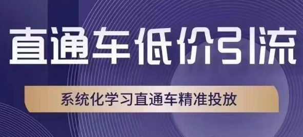 直通车低价引流课,系统化学习直通车精准投放-风淘社