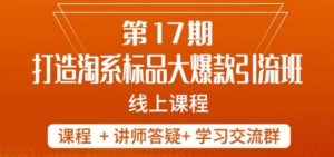 南掌柜-第17期打造淘系标品大爆款,5天线上课-风淘社
