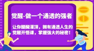 觉醒-做一个通透的强者,让你醍醐灌顶,拥有通透人生的觉醒开悟课,掌握强大的秘密!-风淘社