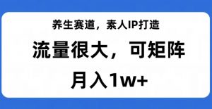 养生赛道,素人IP打造,流量很大,可矩阵,月入1w+【揭秘】-风淘社