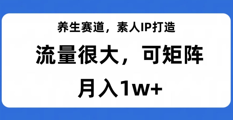 养生赛道,素人IP打造,流量很大,可矩阵,月入1w+【揭秘】-风淘社