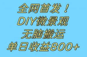 全网首发冷门赛道!DIY微景观,无脑搬运视频,日收益800+【揭秘】-风淘社