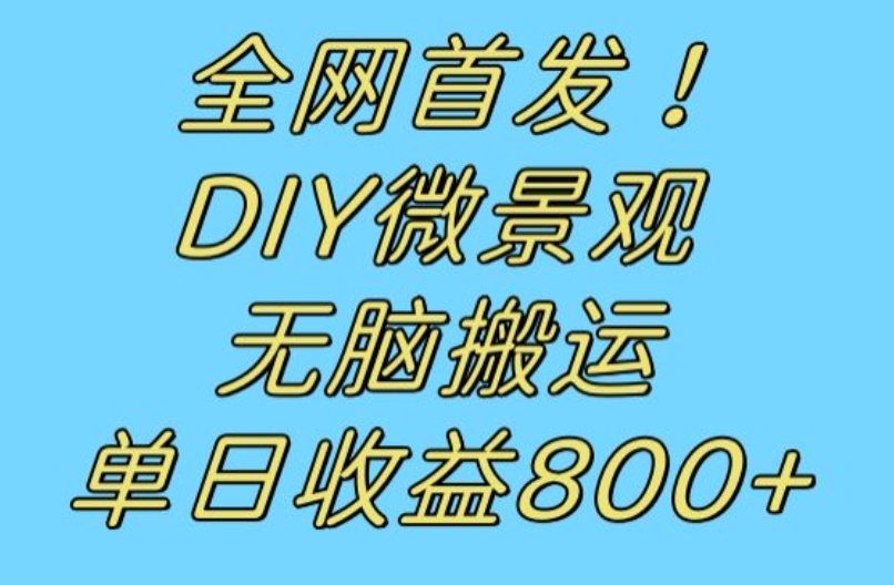 全网首发冷门赛道!DIY微景观,无脑搬运视频,日收益800+【揭秘】-风淘社