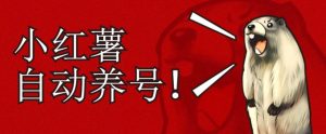 小红书养号秘籍,如何自动涨粉清晰系统标签打造高权重账号【揭秘】-风淘社