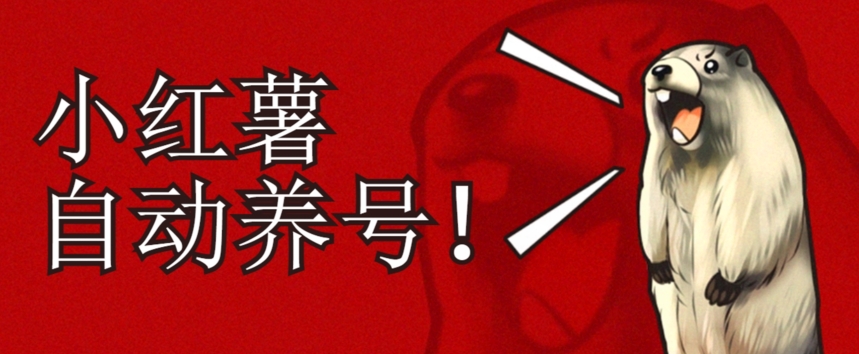 小红书养号秘籍,如何自动涨粉清晰系统标签打造高权重账号【揭秘】-风淘社