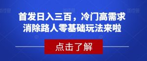 首发日入三百，冷门高需求消除路人零基础玩法来啦【揭秘】-风淘社