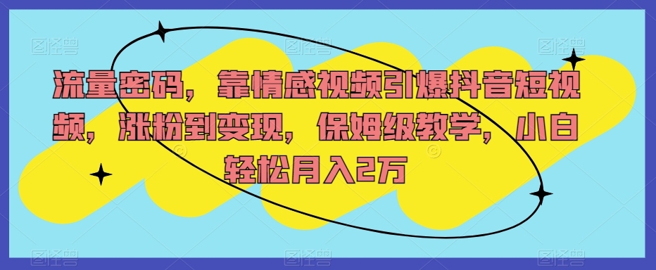流量密码，靠情感视频引爆抖音短视频，涨粉到变现，保姆级教学，小白轻松月入2万【揭秘】-风淘社