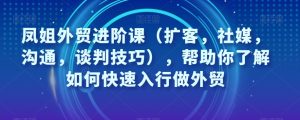 凤姐外贸进阶课(扩客,社媒,沟通,谈判技巧),帮助你了解如何快速入行做外贸-风淘社