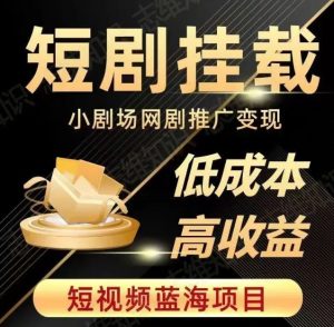 2023短视频蓝海项目,抖音快手短剧推广变现教程,低成本高收益-风淘社