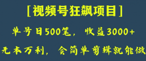 日收款500笔，纯利润3000+，视频号狂飙项目，会简单剪辑就能做【揭秘】-风淘社