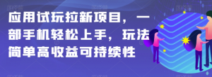 应用试玩拉新项目,一部手机轻松上手,玩法简单高收益可持续性【揭秘】-风淘社