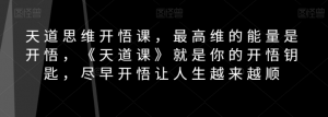 天道思维开悟课,最高维的能量是开悟,《天道课》就是你的开悟钥匙,尽早开悟让人生越来越顺-风淘社
