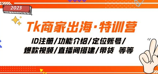 Tk商家出海·特训营:ID注册/功能介绍/定位账号/爆款视频/直播间搭建/带货-风淘社