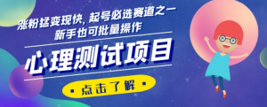 心理测试项目，涨粉猛变现快，起号必选赛道之一，新手也可批量操作【揭秘】-风淘社