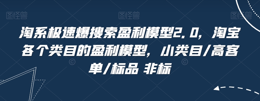 淘系极速爆搜索盈利模型2.0,淘宝各个类目的盈利模型,小类目/高客单/标品 非标-风淘社